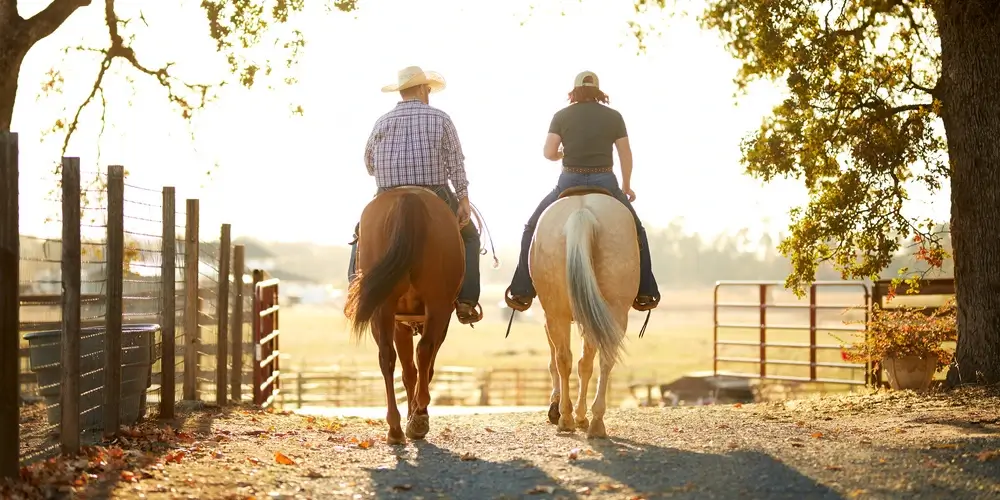 Two people riding horses down a dirt path at sunset on a ranch or farm.